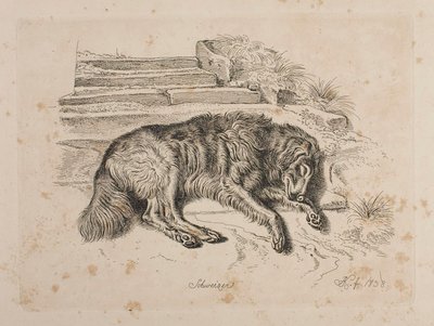  von Johann Adam Klein