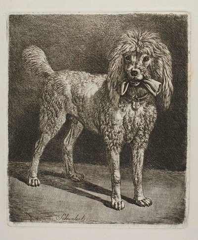 von Johann Adam Klein