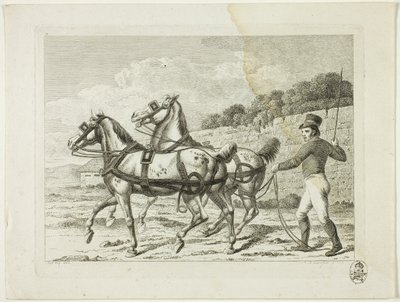 Reitschule und Pferde von Johann Adolph Darnstedt