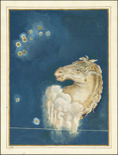 Equuleus - Johann Bayer von Johann Bayer
