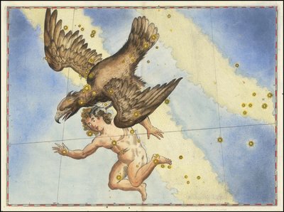 Aquila von Johann Bayer