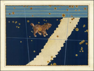 Canis Minor von Johann Bayer