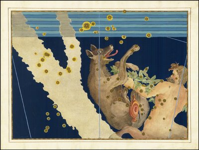 Lupus und Centaurus von Johann Bayer