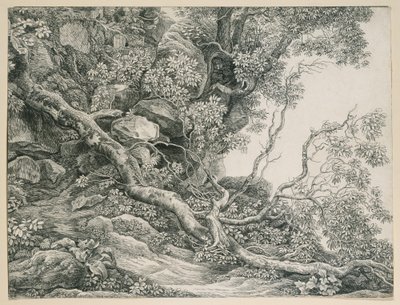 Bäume an einem Felsabhang von Johann Christian Reinhart