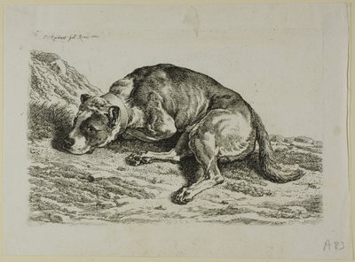 Liegender Hund, aus Die Zweite Thierfolge von Johann Christian Reinhart
