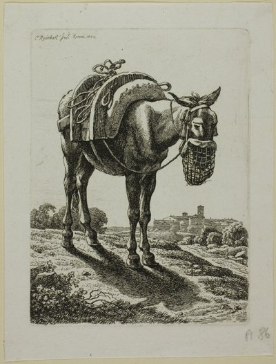 Fütternder Maultier - Vorderansicht, aus Die Zweite Thierfolge von Johann Christian Reinhart