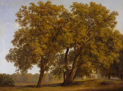 Bäume in den Gärten der Villa Borghese von Johann Christian Reinhart