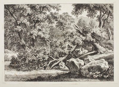 Waldszene mit gebrochener Eiche von Johann Christian Reinhart