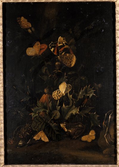 Blumen mit Schmetterlingen und Kröte von Johann Christian Thomas Winck
