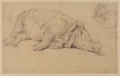 Nashorn, das auf der Seite liegt von Johann Elias Ridinger or Riedinger