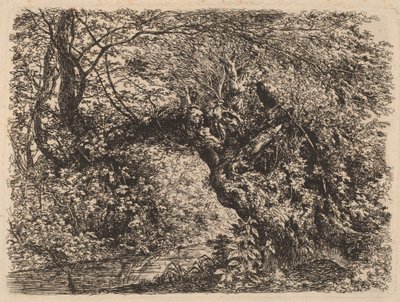 Eine alte Weide an einem Bach von Johann Georg von Dillis