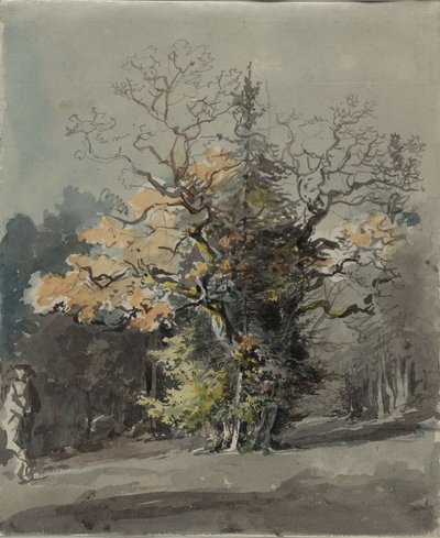 Baumgruppe vor Wald von Johann Georg von Dillis