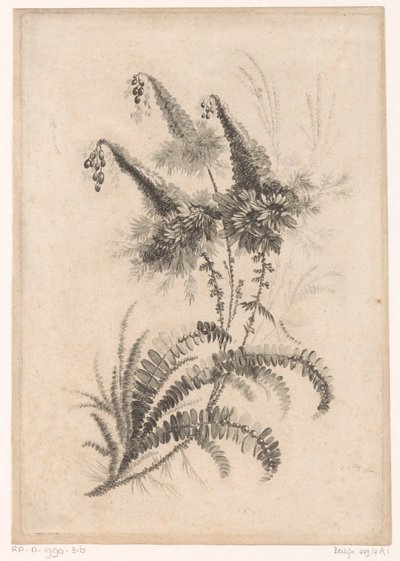 Spitze Blumen von Johann Heinrich  Hess