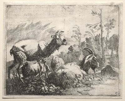 Ziegen von Johann Heinrich Roos