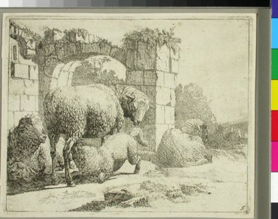 Schafe an einem zerstörten Tor von Johann Heinrich Roos