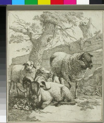 Ohne Titel von Johann Heinrich Roos