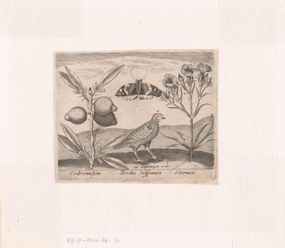 Serie von Drucken mit Blumen und Tieren in einer Landschaft von Johann Hogenberg