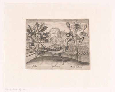 Serie von Drucken mit Blumen und Tieren in einer Landschaft von Johann Hogenberg