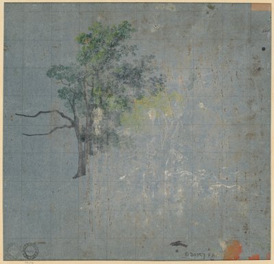 Baumstudien, erste Hälfte 1800er von Johann Jacob Dorner