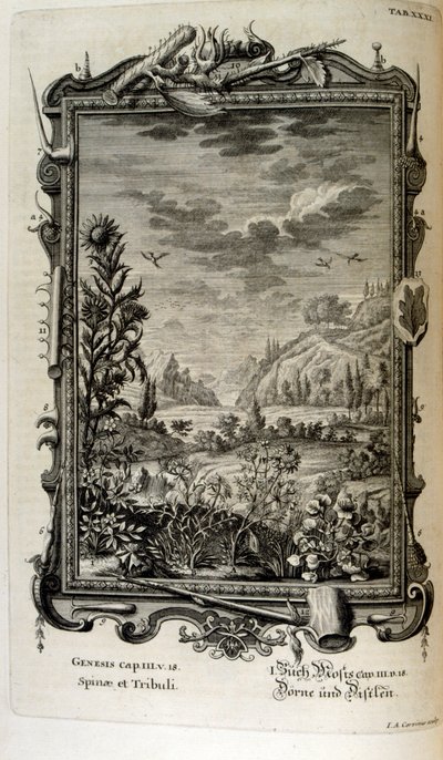 Kupferstich aus 