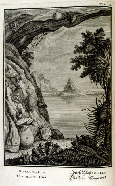 Kupferstich aus 