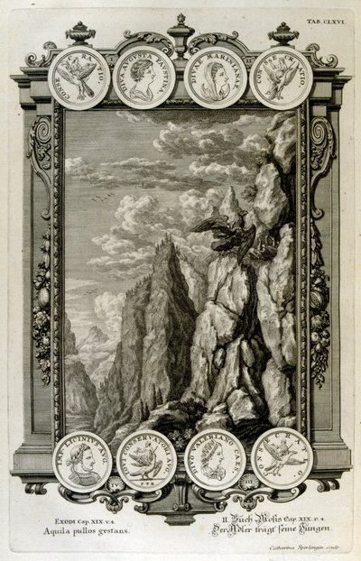 Zeus symbolisiert als Adler von Johann Jakob Scheuchzer