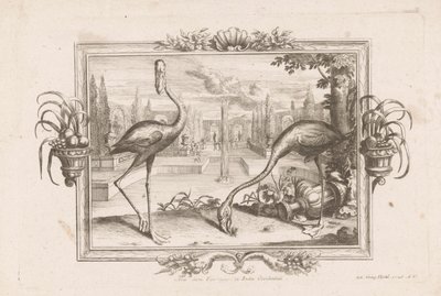 Zwei Flamingos von Johann Jakob Stelzer