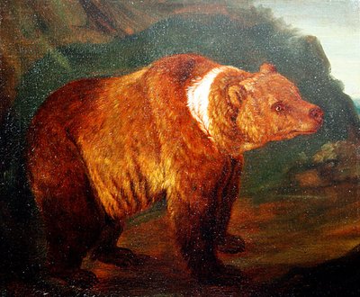 Ein Braunbär in einer Landschaft, ca. 1719 von Johann Melchior Roos