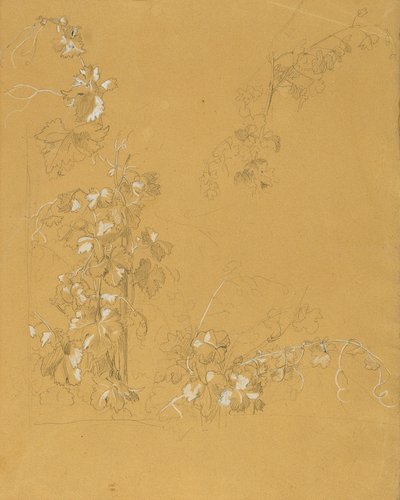 Weinstock, Studie zu "Hermann und Dorothea im Weinberg" von Johann Peter Krafft