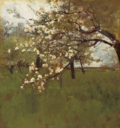 Blühender Apfelbaum von Johann Sperl