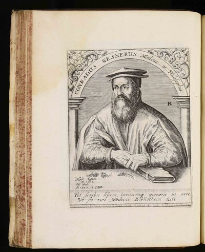 Conrad Gessner von Johann Theodor de Bry