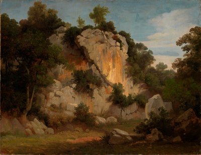 Felswand mit Bäumen und Gestrüpp von Johann Wilhelm Schirmer