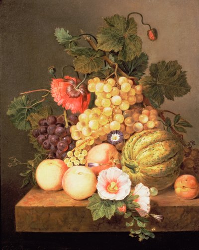 Stillleben mit Früchten von Johannes Cornelis Bruyn