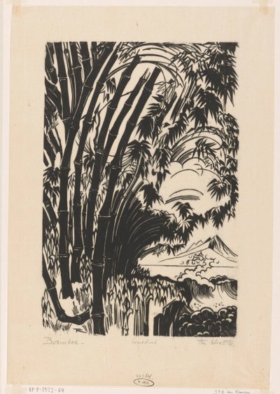 Bambus von Johannes Frederik Engelbert ten Klooster (signed by artist)