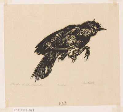 Toter Spatz von Johannes Frederik Engelbert ten Klooster (signed by artist)