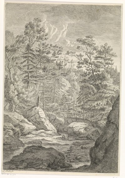 Schlucht mit Bäumen und einem Bach von Johannes Glauber