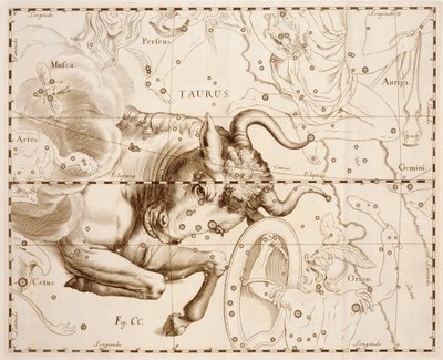 Stier (Sternzeichen), Gravur aus Firmamentum Sobiescianum sive Uranographia, vollständiger Sternenkatalog von Johann Hevelius, gedruckt in Danzig von Johannes Hevelius
