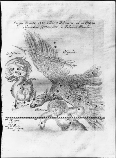 Der Komet entdeckt und beobachtet von Johannes Hevelius vom 3. Februar bis 28. März 1661 in Danzig von Johannes Hevelius