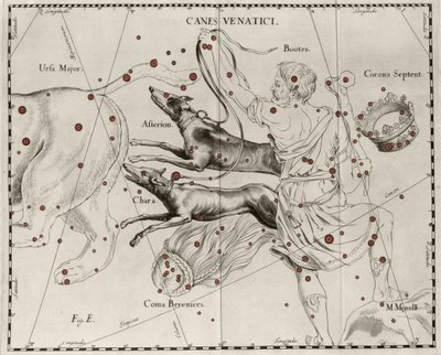 Die Konstellation Canes Venatici, Jagdhunde. Tafel aus „Firmamentum Sobiescanum sive Uranographia“ von Johannes Hevelius oder Hevel (1611-1687) von Johannes Hevelius