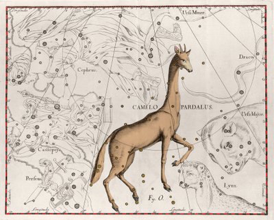 Die Konstellation der Giraffe, Tafel aus „Firmamentum Sobiescanum sive Uranographia“ von Johannes Hevelius von Johannes Hevelius