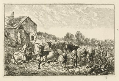 Vier Ziegen und ein Schaf bei einem Haus von Johannes Mock