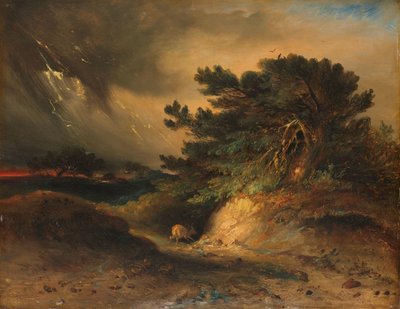 Das Gewitter von Johannes Tavenraat