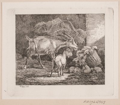 Eine Ziege, ein Zicklein und Kaninchen in einem Stall von Johannes Wilhelm Zillen