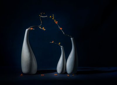 Elegante Vasen mit Blüten von John-Mei Zhong