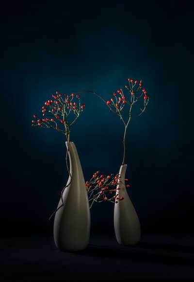 Rote Beeren Moderne Vasen von John-Mei Zhong