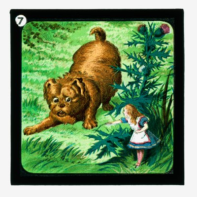 Alice im Wunderland, farbige Laternenbilder von John (after) Tenniel