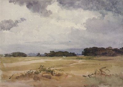 Ein Feld mit Baumgruppen, 19. Jahrhundert von John Absolon
