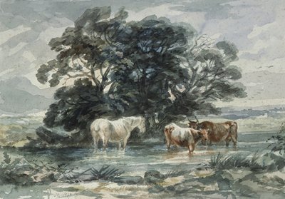 Landschaft, zwei Kühe und ein Pferd im Wasser (Skizze) von John Barker