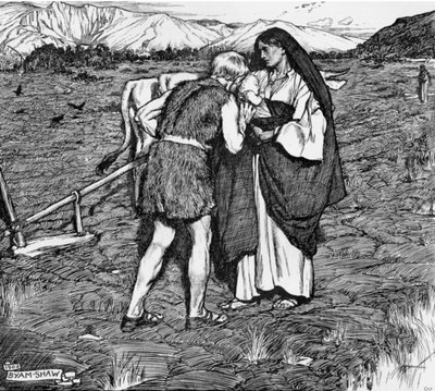 Illustration für 