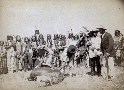 Rind häuten, 1891 von John C. H. Grabill